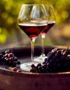 Rode Italiaanse wijnen van hoge kwaliteit - Online winkelen